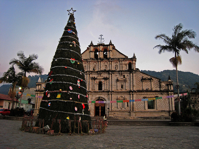 sapin de noel