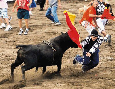 Toros  la Tica