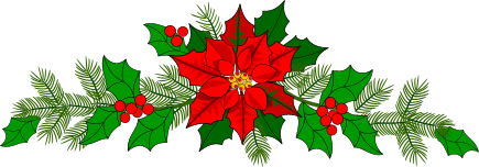 poinsetia