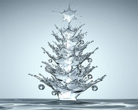 sapin de noel sapin de noel