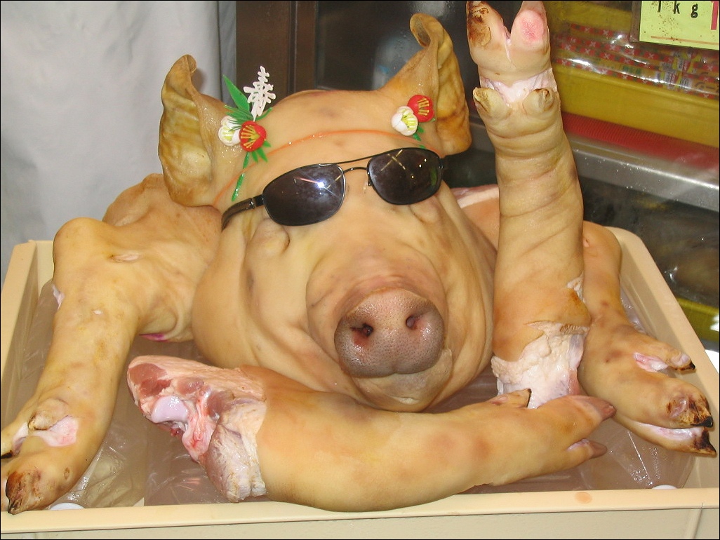 tete de porc tete de porc