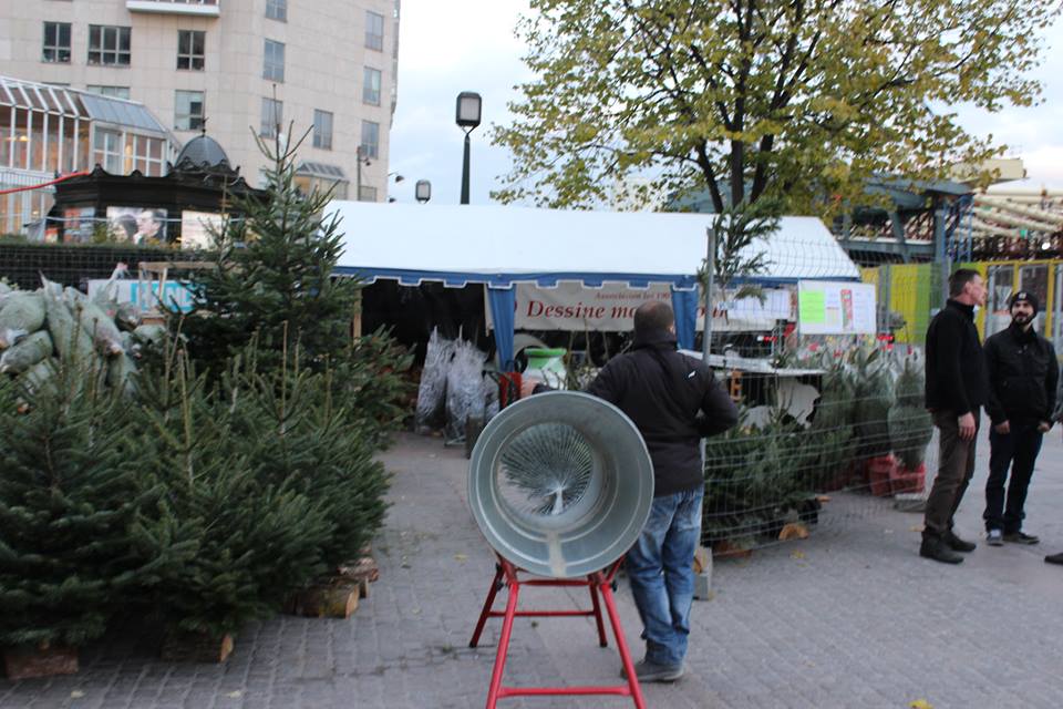 sapins de Nol